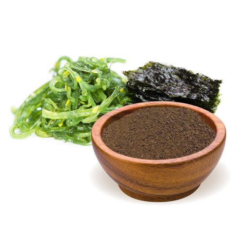 BioMenü BIO KELP ALGA por 125 g