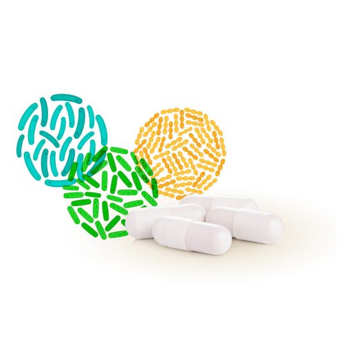 Caleido Mega PROBIOTIKUM kapszula 60 db