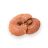 BioMenü BIO GANODERMA kapszula 60 db